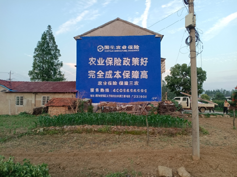  遂平墙体广告的优劣势你知道吗？